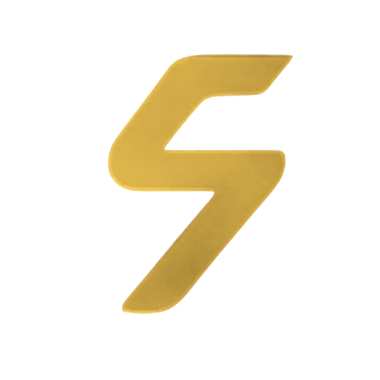 Projects logo s transparent