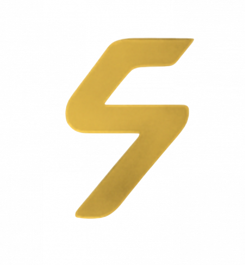 Projects logo s transparent